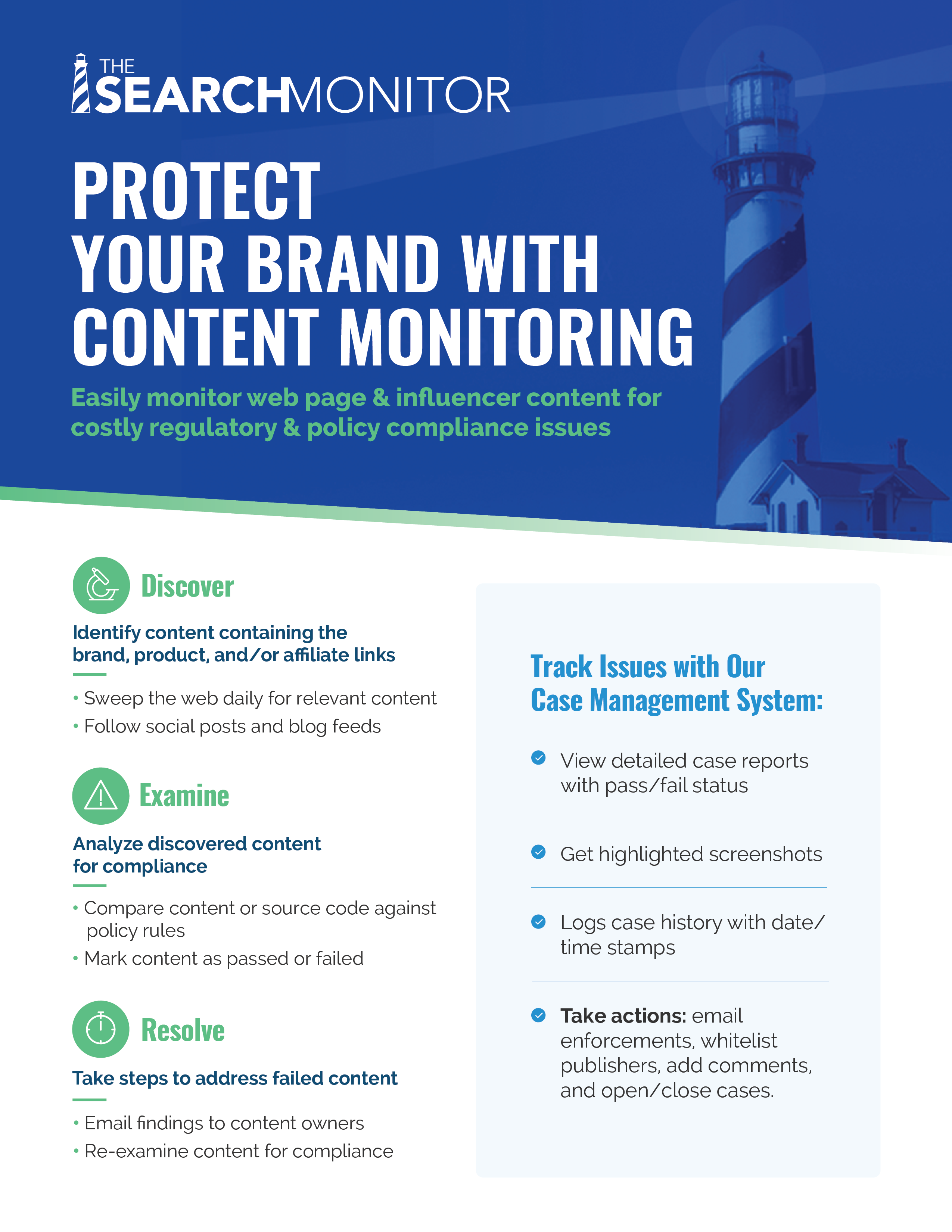 Flyer TheSearchMonitor Web Preview ProtectYourBrand Front
